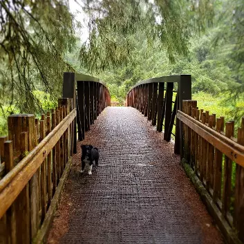 Satisfaction Guaranteed